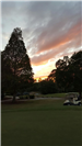 golf cart  by green at sunset